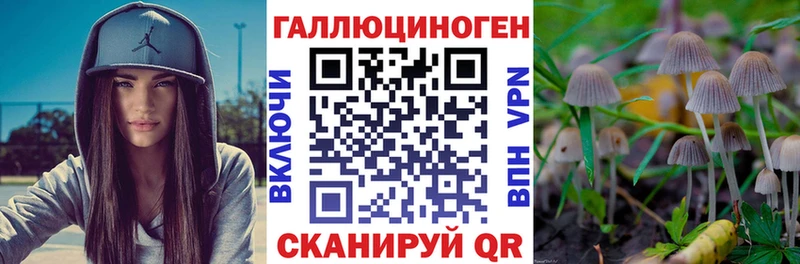 Псилоцибиновые грибы Psilocybe  Ардатов 